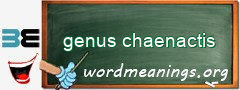 WordMeaning blackboard for genus chaenactis